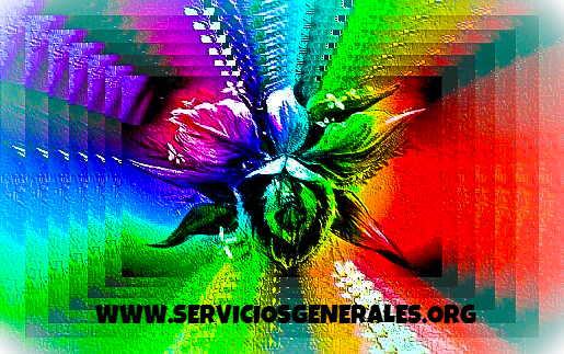 serviciosgenerales.org icon